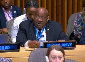 STATEMENT BY THE CHAIR OF THE AFRICAN GROUPAT THE 2025 SPECIAL MEETING ON INTERNATIONAL COOPERATION IN TAX MATTERS