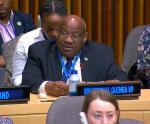 STATEMENT BY THE CHAIR OF THE AFRICAN GROUPAT THE 2025 SPECIAL MEETING ON INTERNATIONAL COOPERATION IN TAX MATTERS